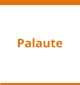 Palaute